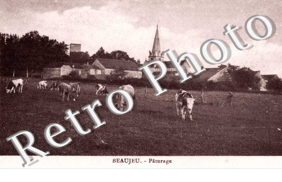 paturage