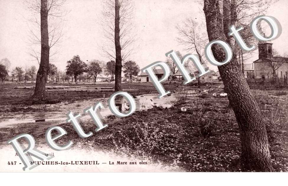 La Mare aux Oies