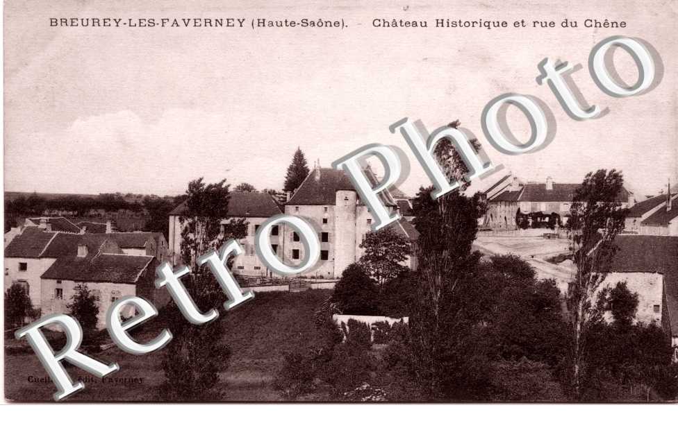 Chateau Historique et rue du chene