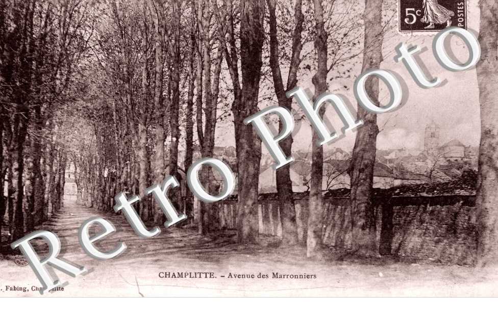Avenue des Marronniers