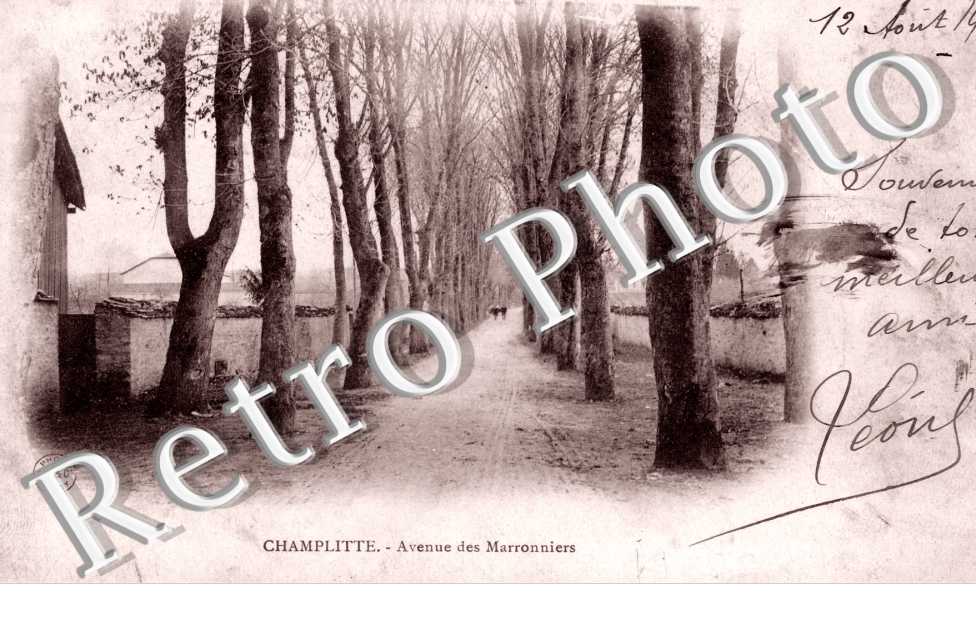 Avenue des Marronniers