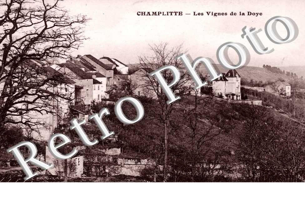 Les Vignes de la Doye