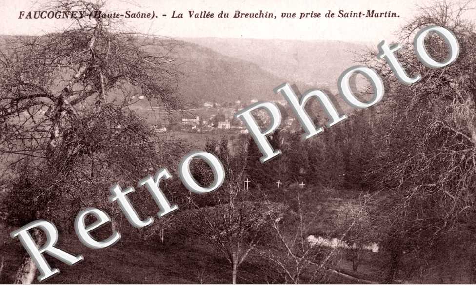 Faucogney, la Vallee du Breuchin, Vue prise de Saint-Martin