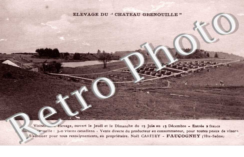 Elevage du Chateau Grenoille
