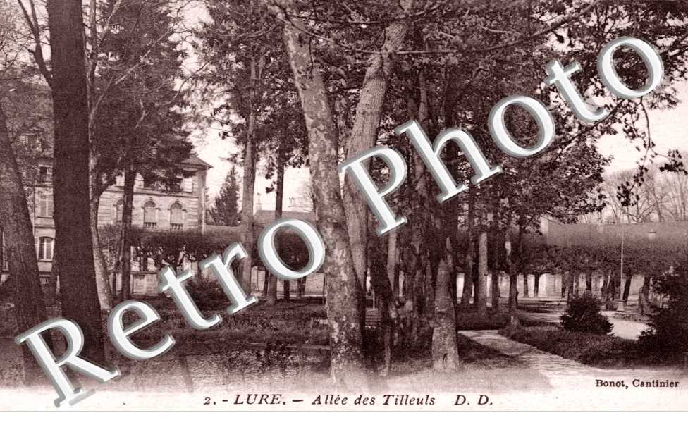 Allee des Tilleuls