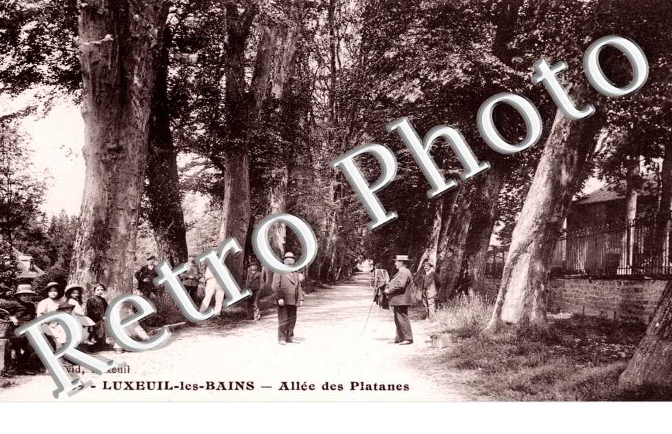 Allee des Platanes