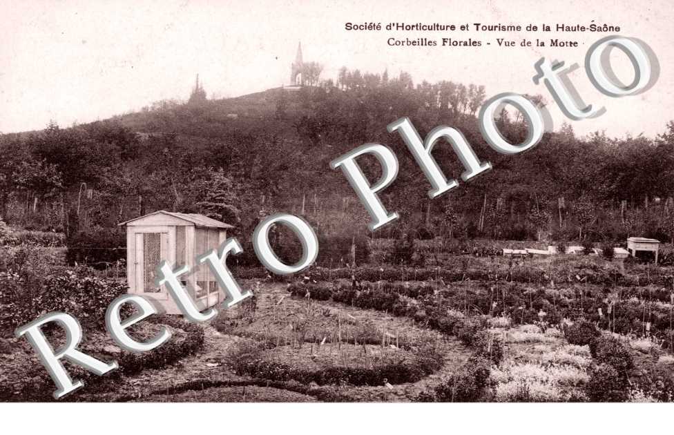 Societe d&#039;horticulture Vue de la Motte