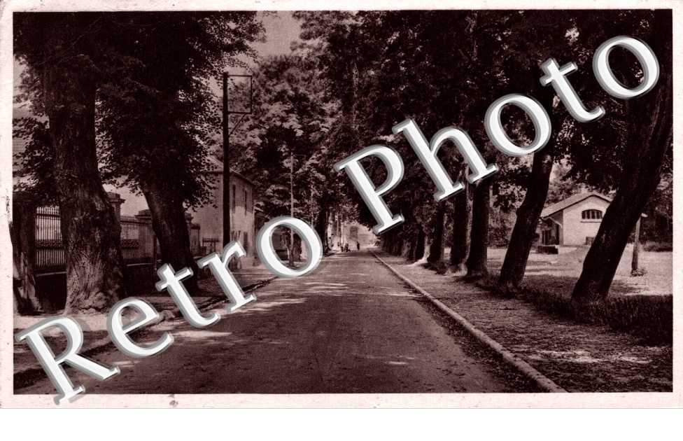 avenue des Ratis