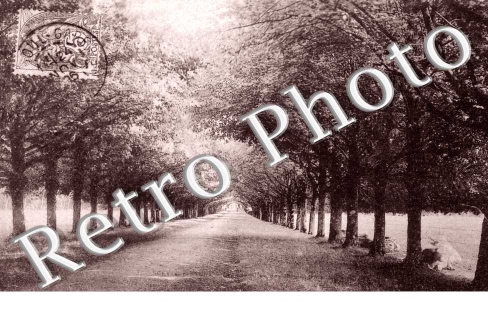 Grande allee