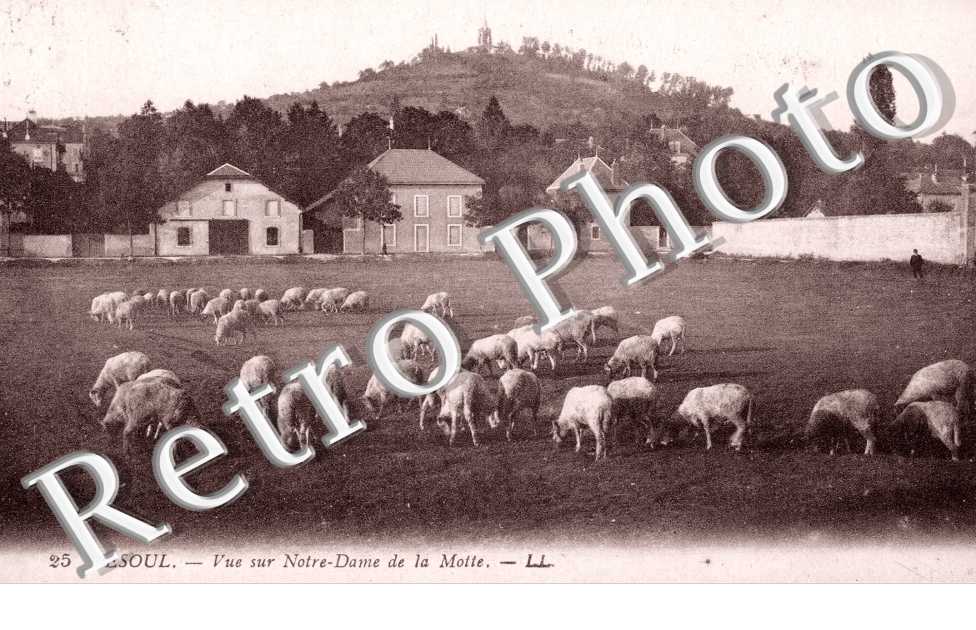 Vue sur Notre-Dame de la Motte