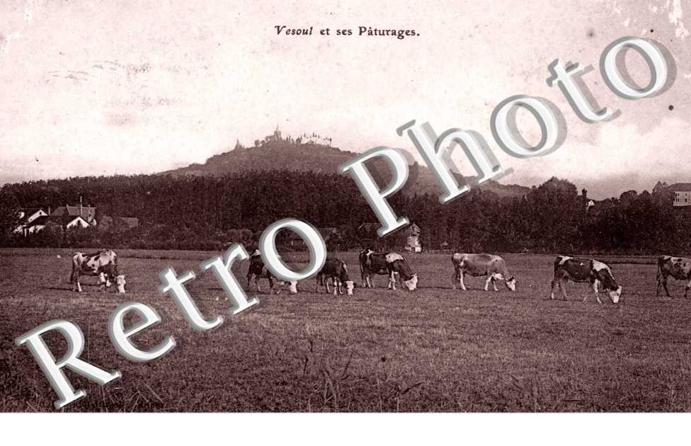 Vesoul et ses paturages