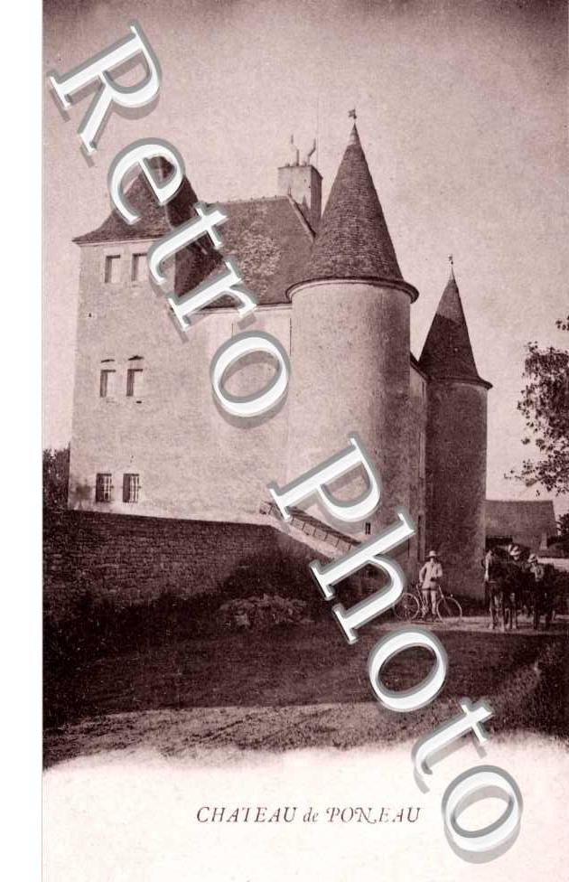 Chateau de Poneau