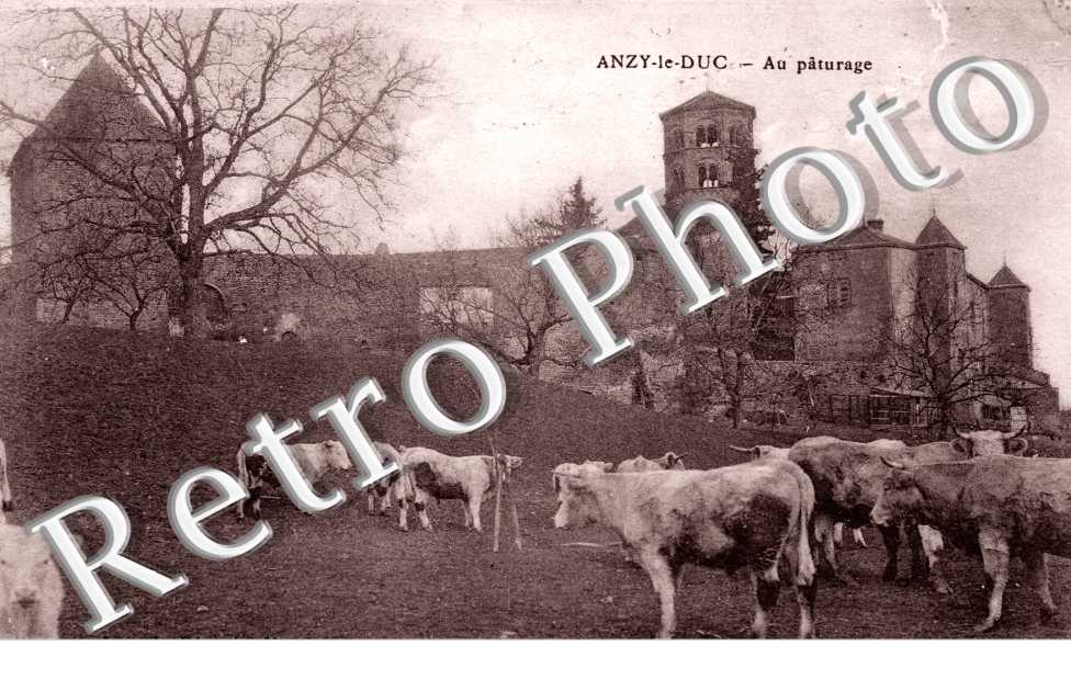 Au paturage