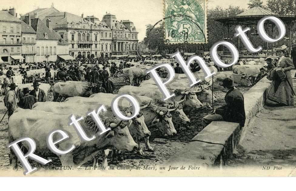 Place du Champ de Mars - un jour de foire (betail)