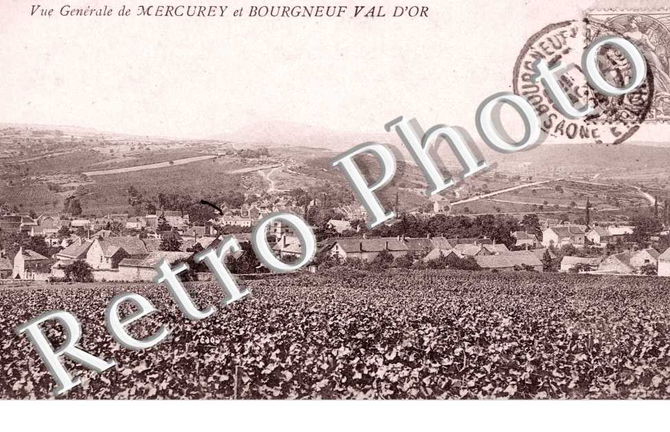Vue Generale de Mercurey et Bourgneuf-Val-d&#039;Or