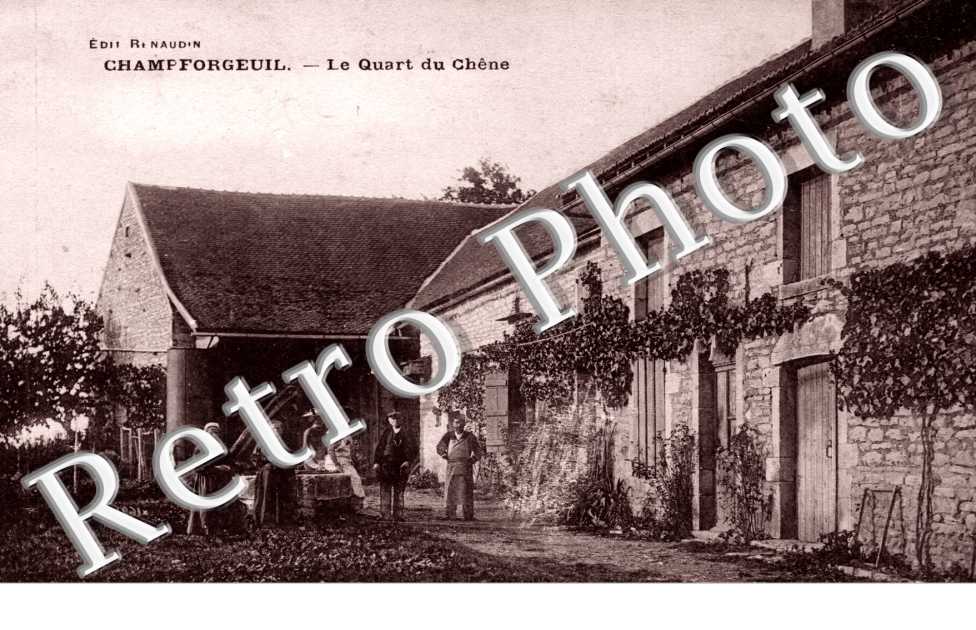 Le quart du chene