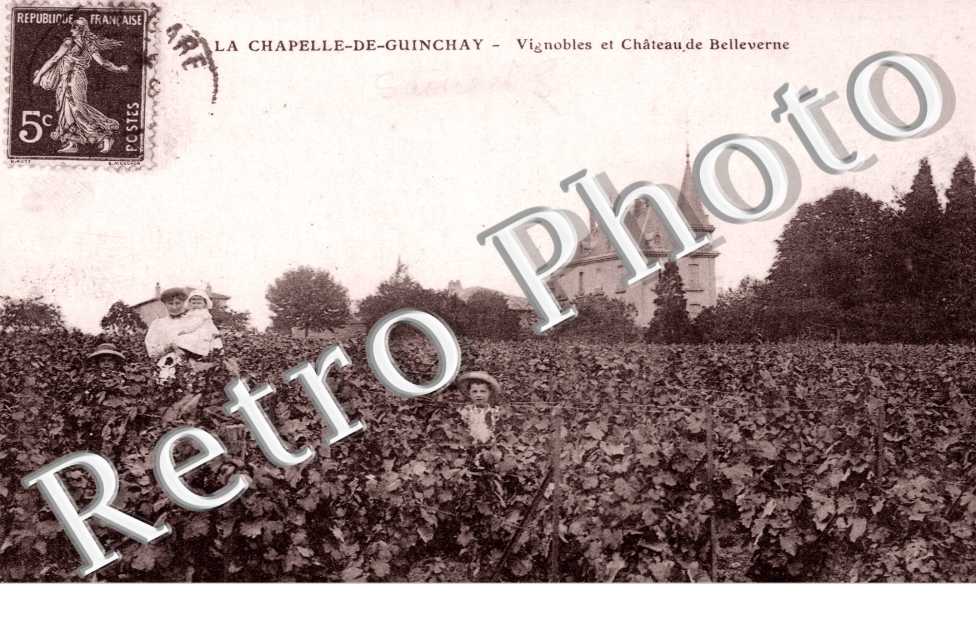 Vignobles et Chateau de Bellevue