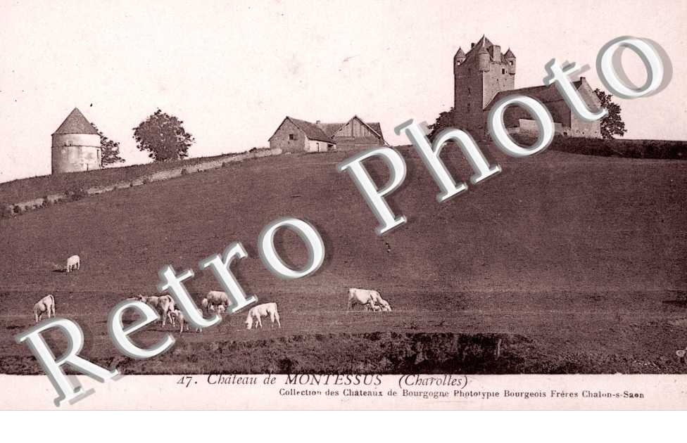 Chateau de Montessus