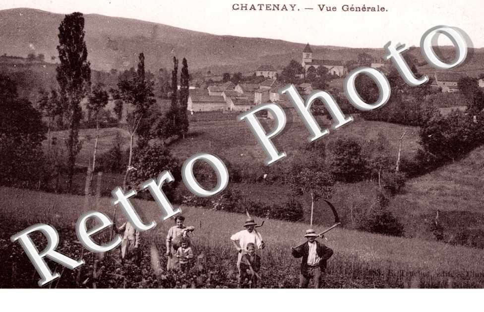 Vue generale