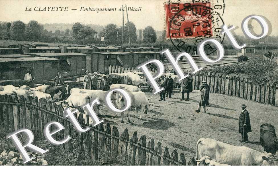 Embarquement du Betail