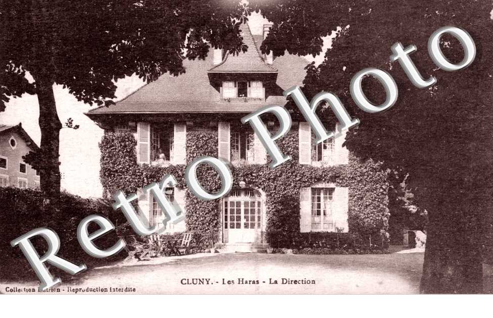 Les Haras - La Direction