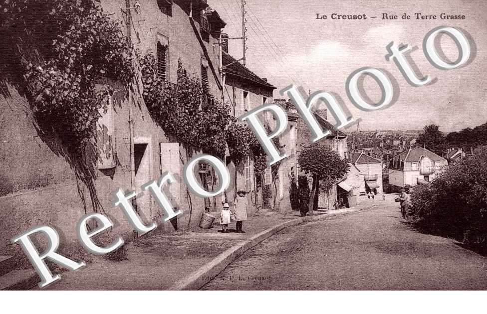 Rue de terre grasse