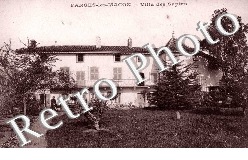 Ville des Sapins
