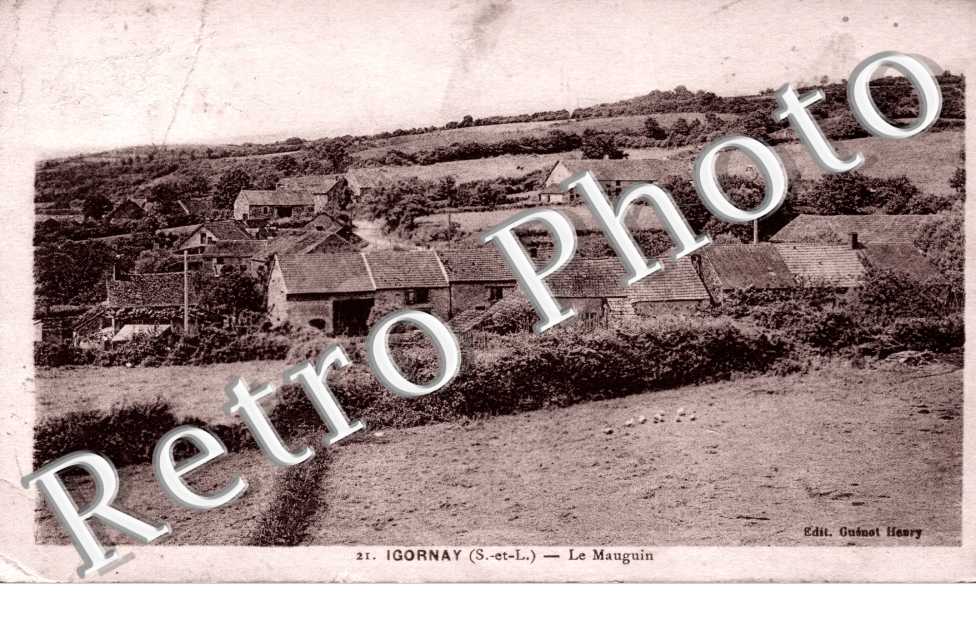 Le mauguin