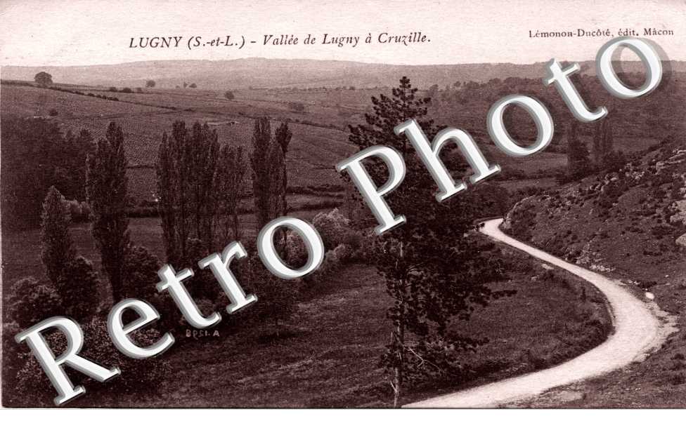 vallee de Lugny a Cruzille