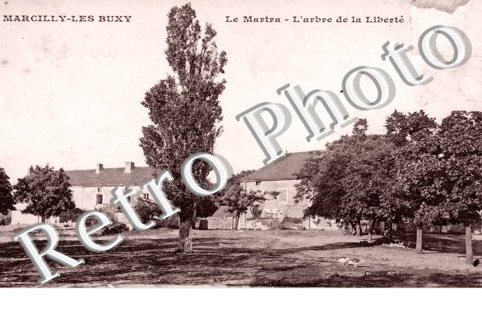 le martra l&#039;arbre de la liberte