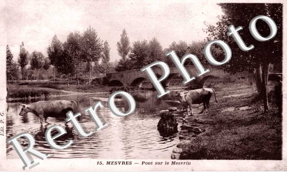 Pont sur le Mesvrin