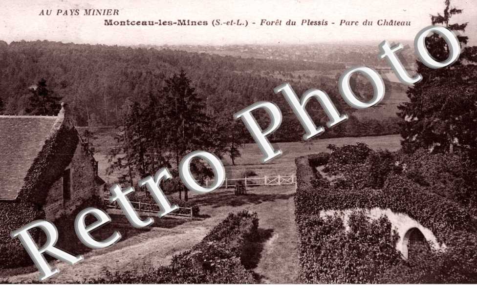 Foret du Plessis Parc du Chateau