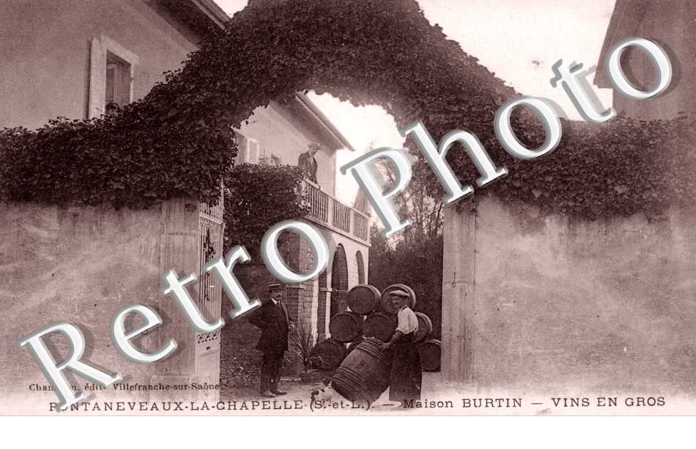 Maison Burtin, Vins en Gros