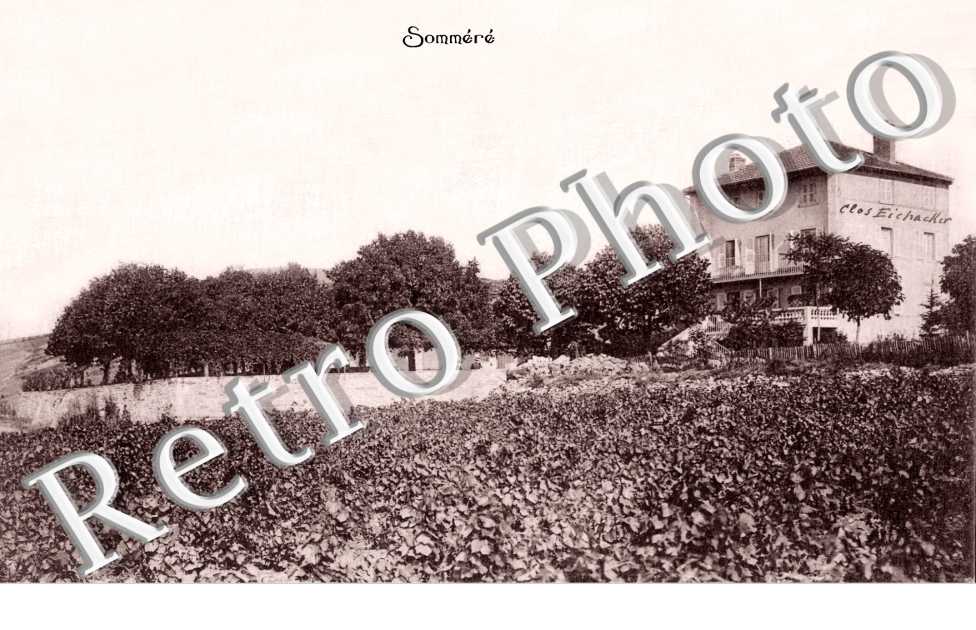 Vue Exterieure, Sommere