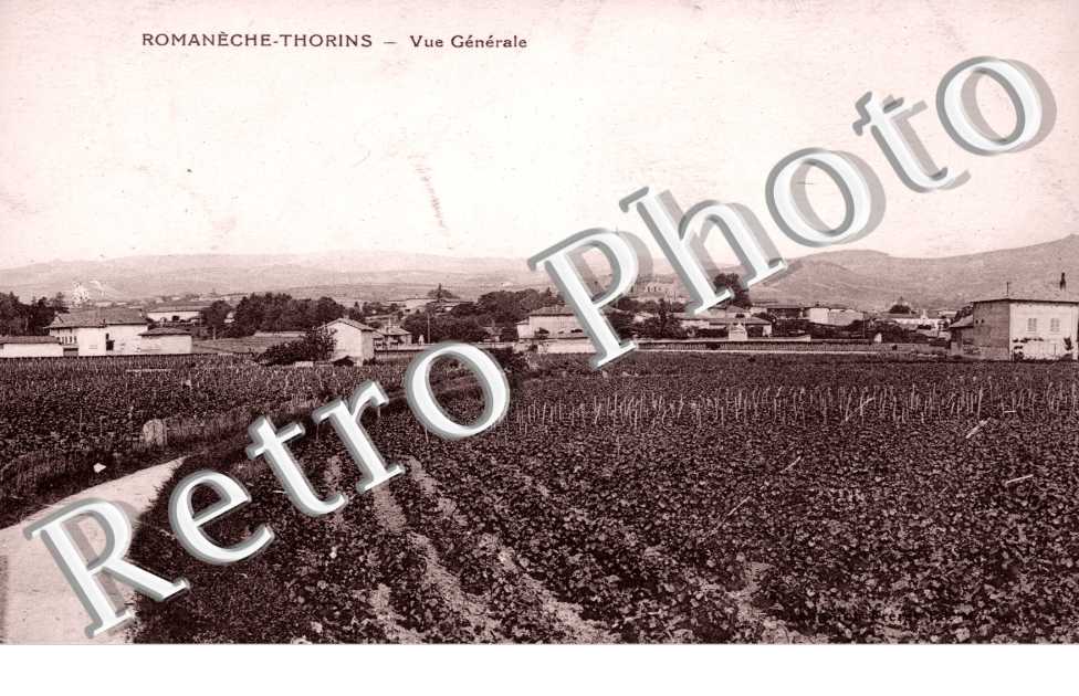 Vue Generale