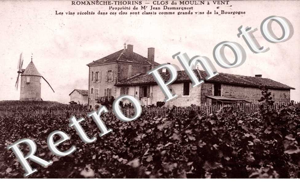 Clos du moulin a vent - propriete de Mr Jean Desmarquest