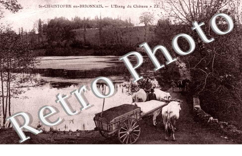 L'etang du chateau