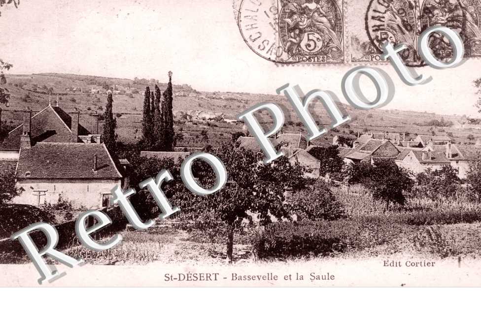 bassevelle et la saule