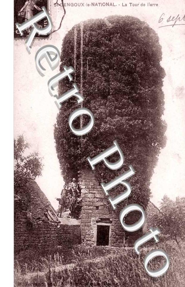 La tour de lierre