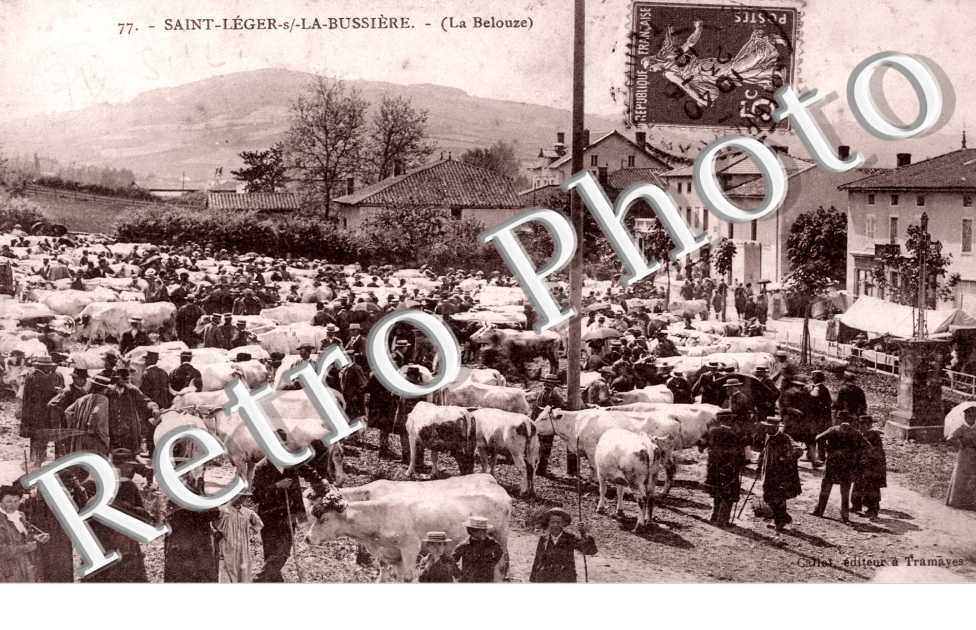 la belouze, marche au bestiaux