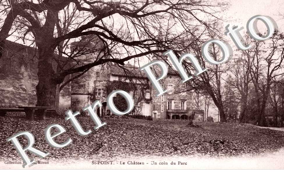 chateau  - un coin du parc
