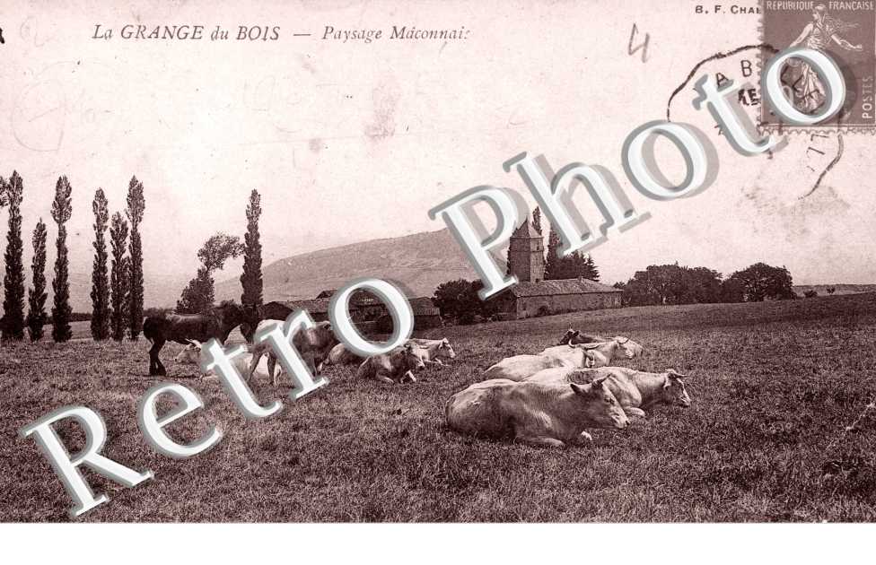 Paysage Maconnais