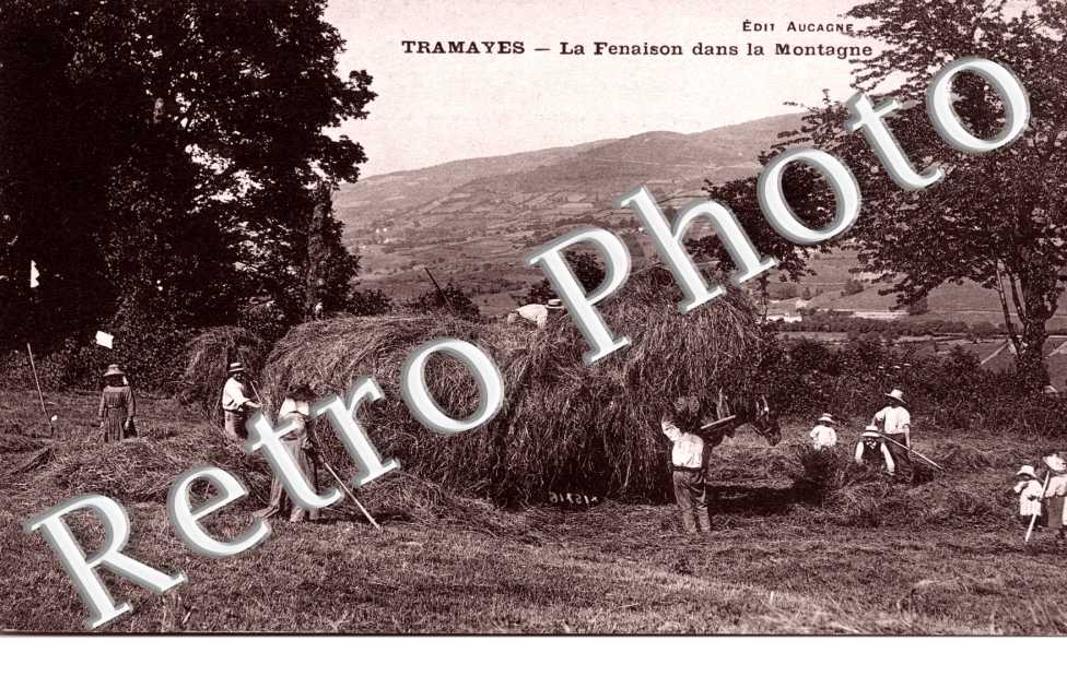 La fenaison dans la montagne