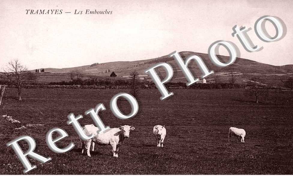 Les Embouches