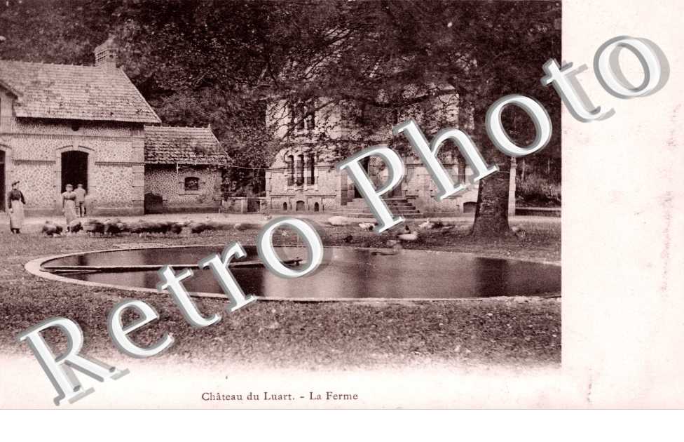 Chateau - la ferme