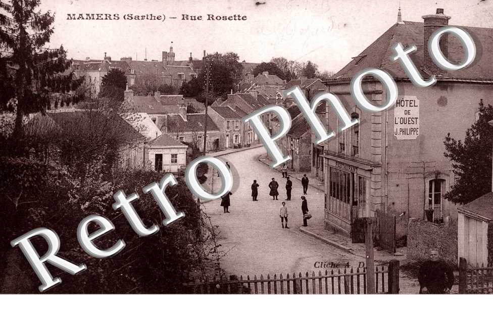 rue rosette