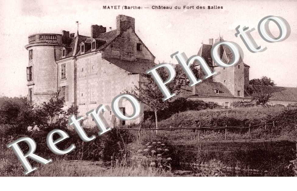 Chateau du fort des salles