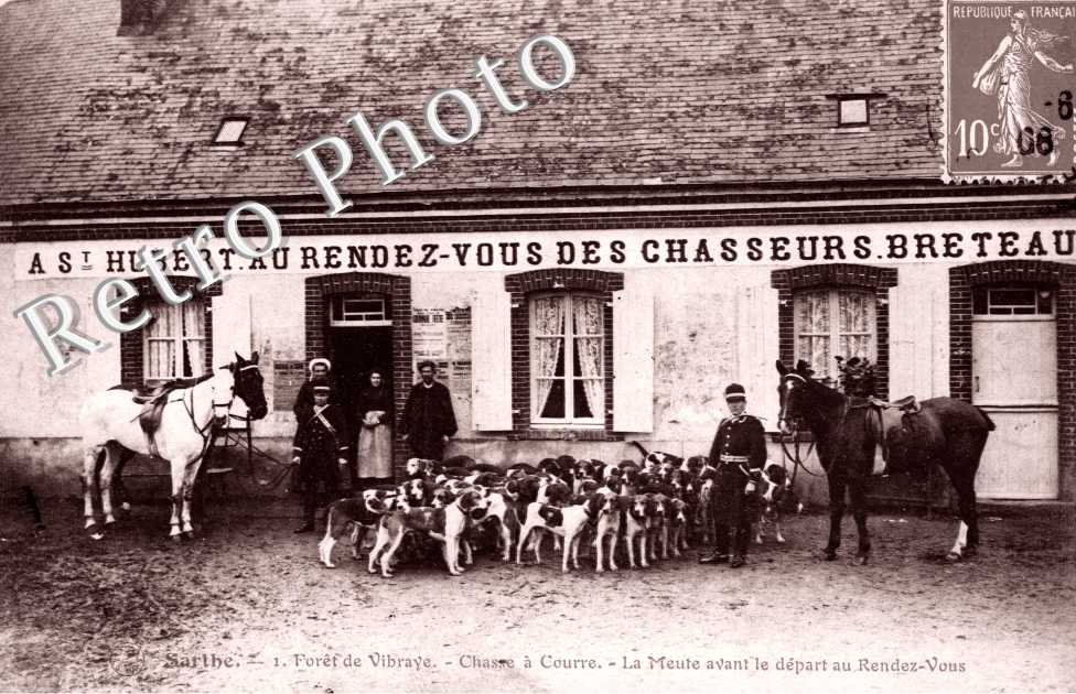 Chasse a Courre, la Meute