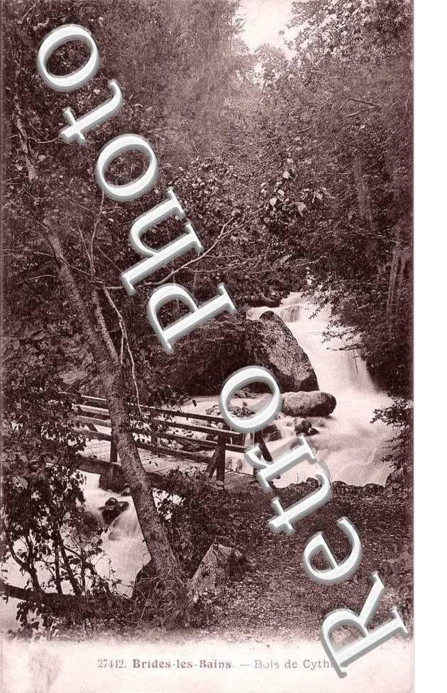 le bois de Cythere