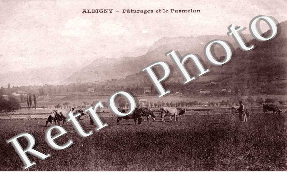 Albigny - paturages et le Parmelan